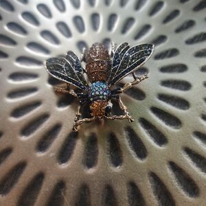 Sparkling Insect Brooch